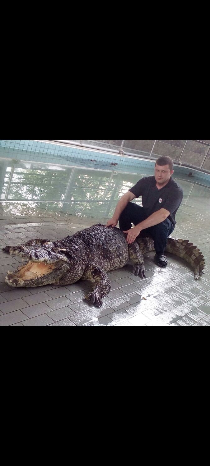 ���������� �����-���������, ���� ������� ����, 41 ���, ������������ 