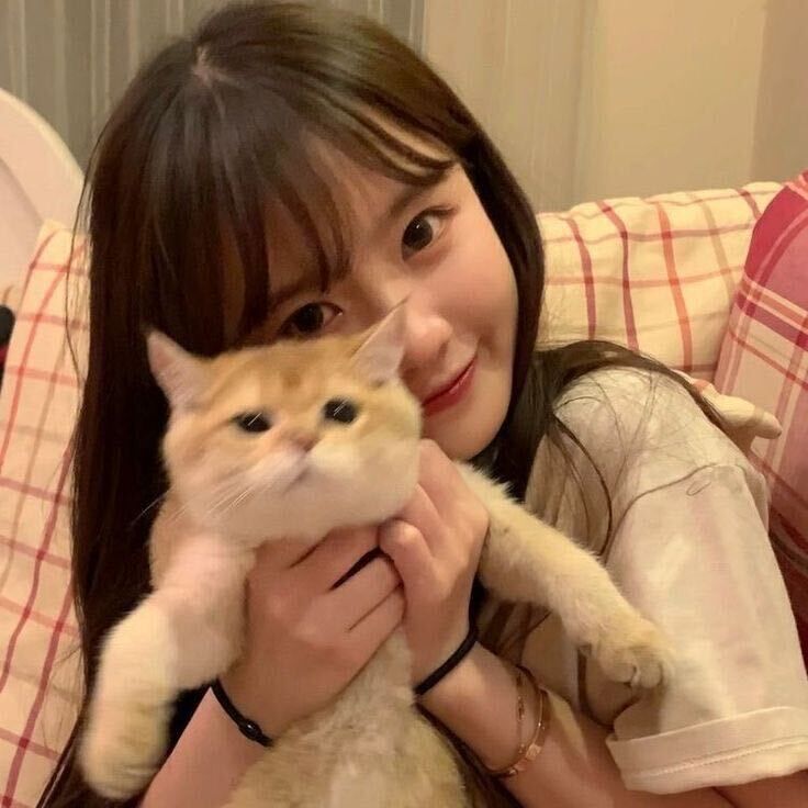 ���� 34203579 ������� ������, 21 ���, ���� ���������� � ������