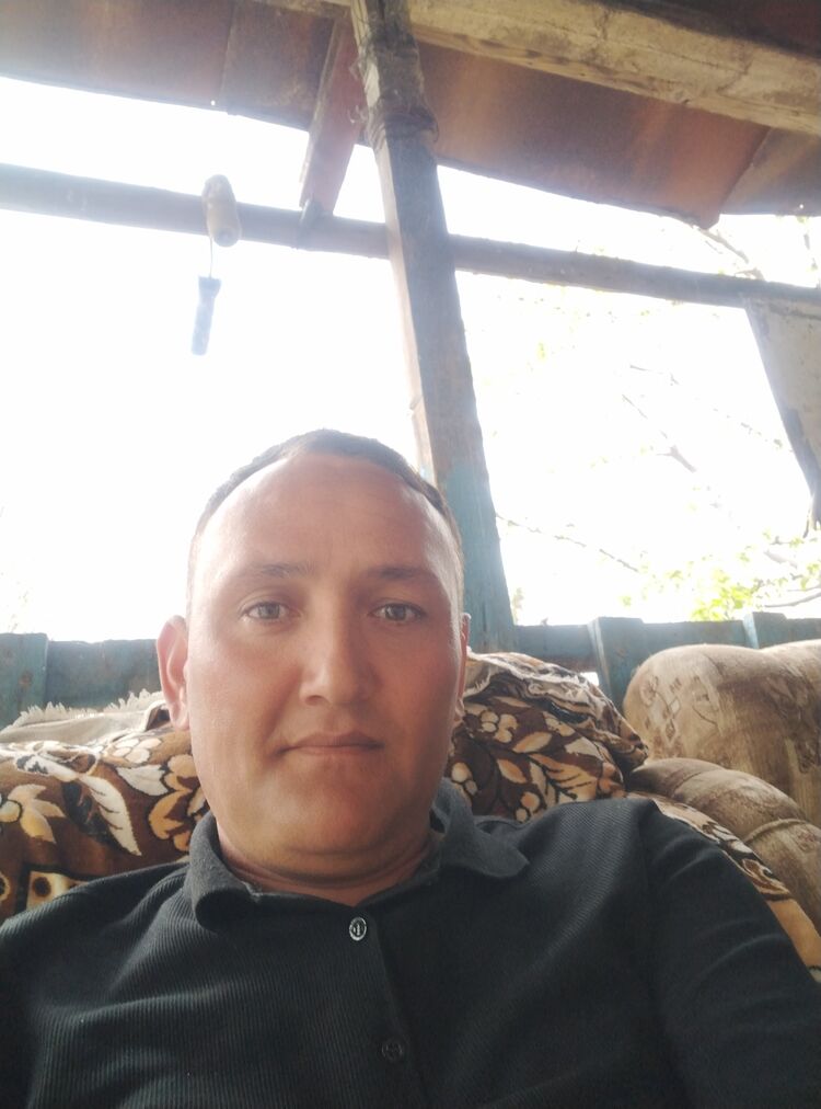  36509179  , 38 ,    