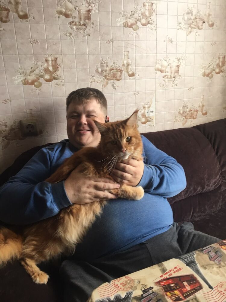 ���������� �����������, ���� ������� ������, 41 ���, ������������ ��� ����� � ���������, c�������� ���������