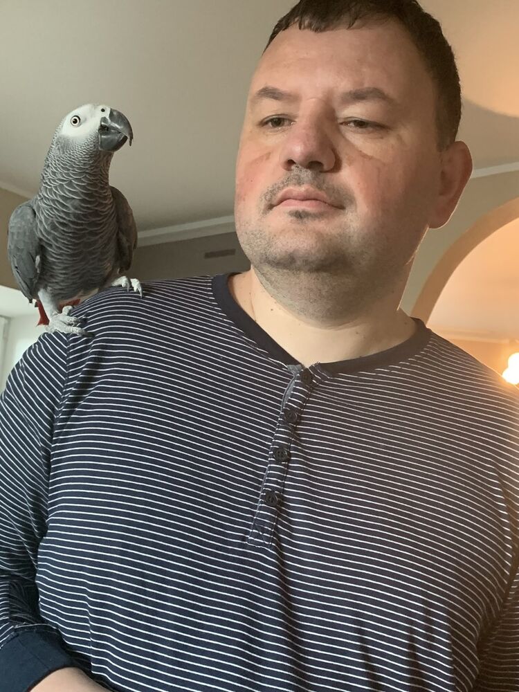 ���� 19419919 ������� �����, 43 ����, ���� ���������� � �����