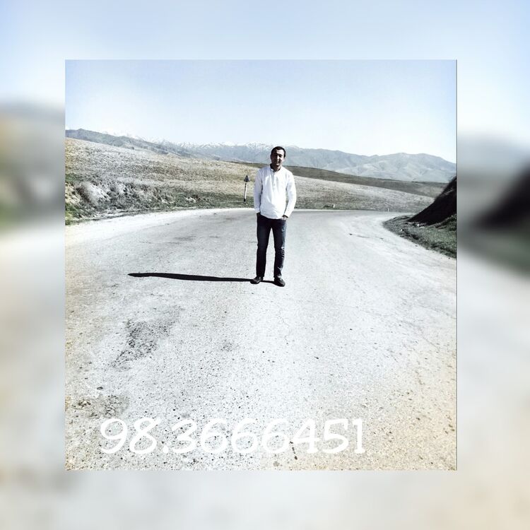 ���� 6681959 ������� ��������, 38 ���, ���� ���������� � ��������