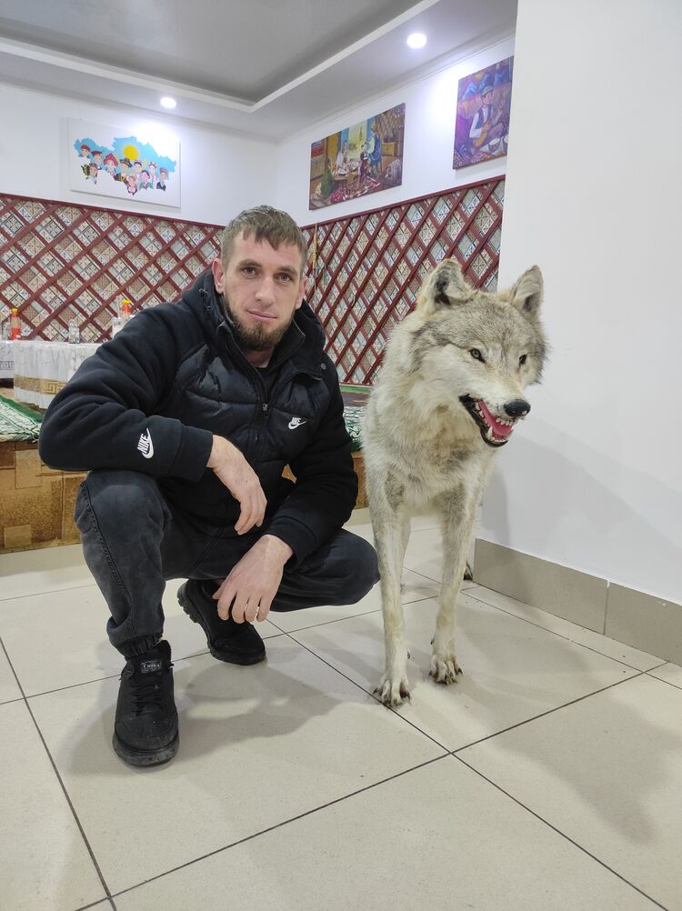 ���� 56215499 ������� ����, 33 ����, ���� ���������� � ������