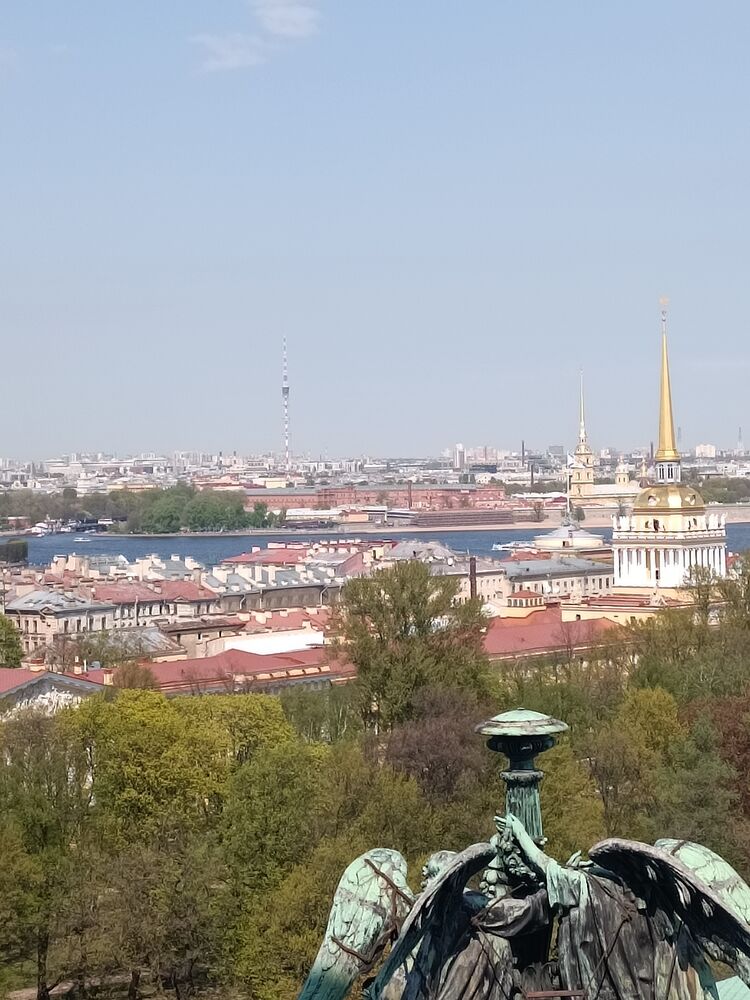  40415179  , 45 ,    