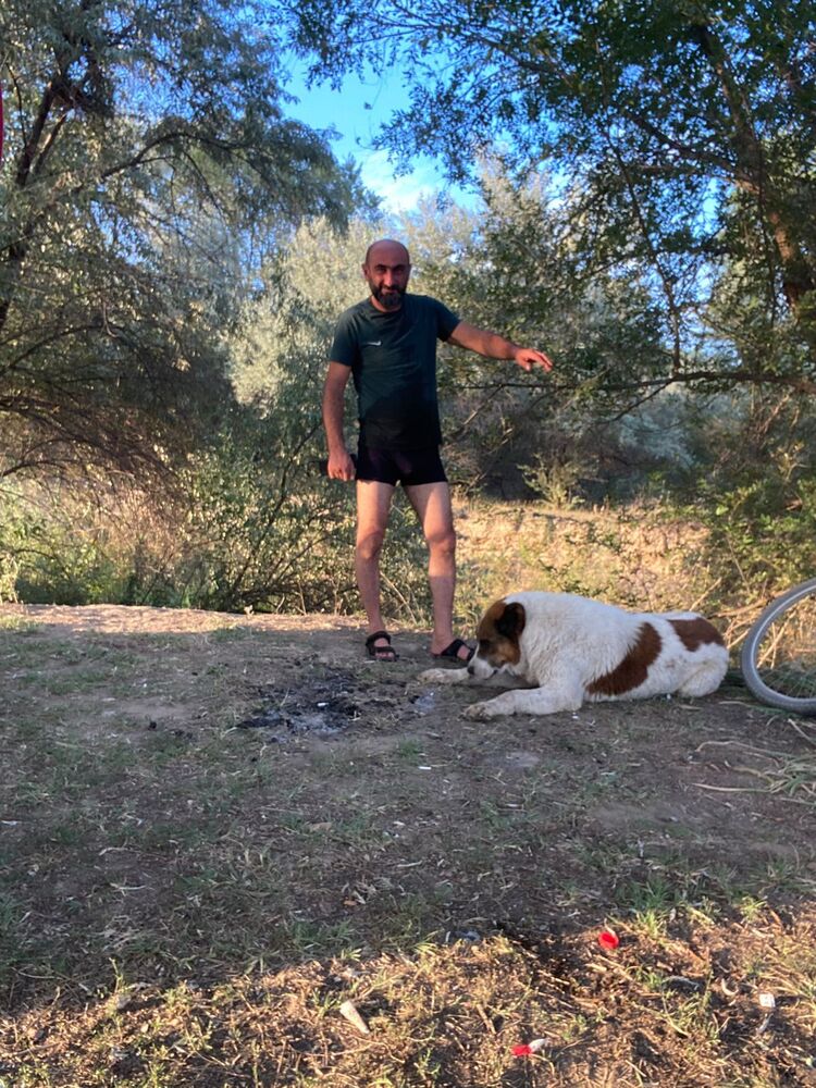 ���������� ������, ���� ������� ������, 42 ����, ������������ ��� ������, ����� � ���������