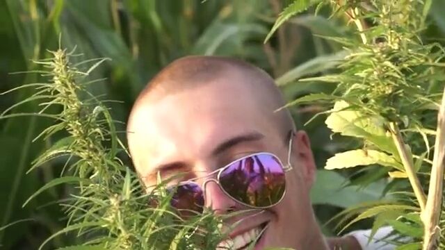 ���� 47200039 ����� Lolo, 21 ���, ���� ���������� � ������