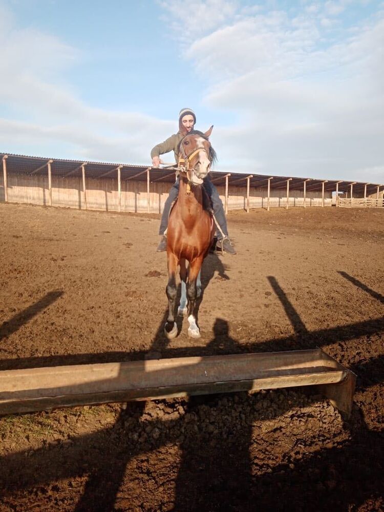 ���������� ������������, ���� ������� Narek, 31 ���, ������������ ��� ������, ����� � ���������, c�������� ���������, ���������