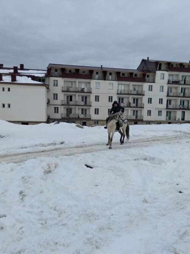 22360589  Vaska, 43 ,    