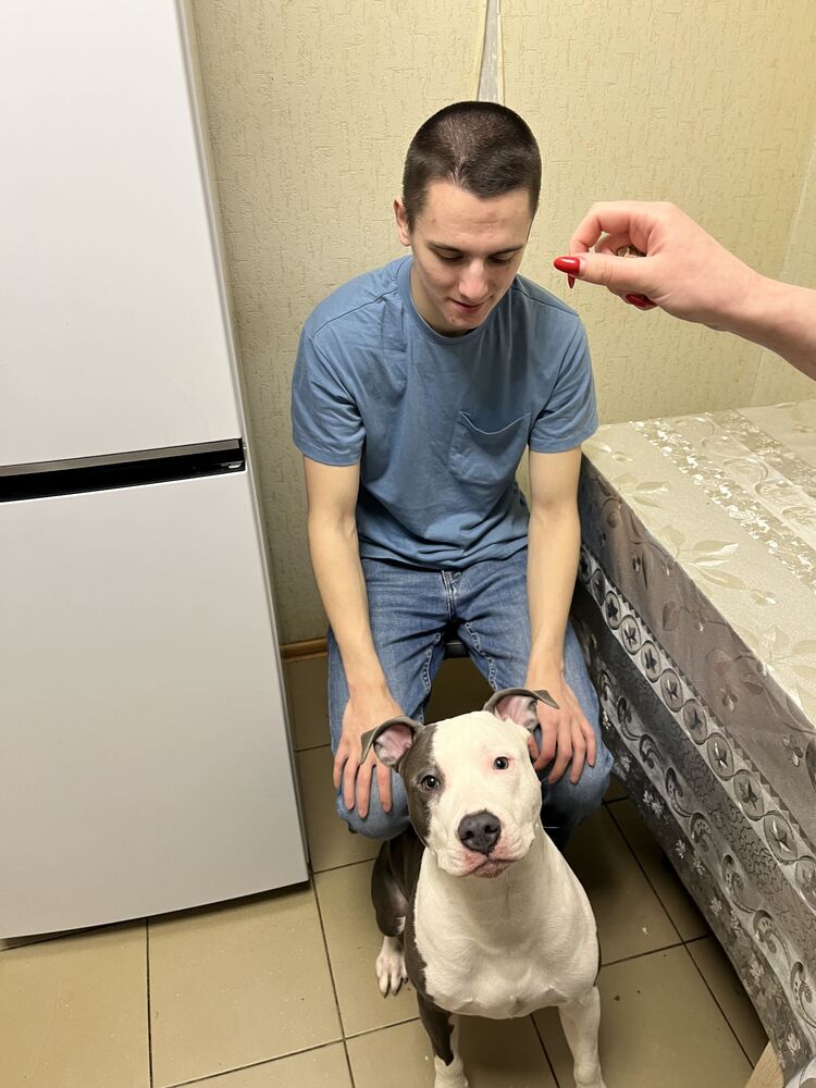 ���������� ������, ���� ����� ���������, 22 ����, ������������ ��� c�������� ���������