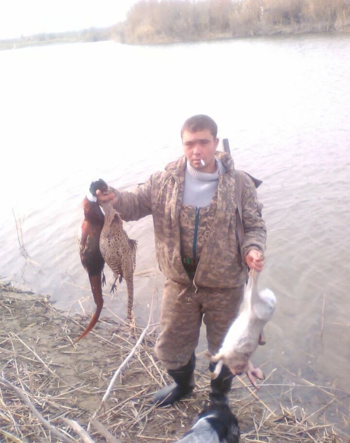  54534459  Artem, 37 ,    