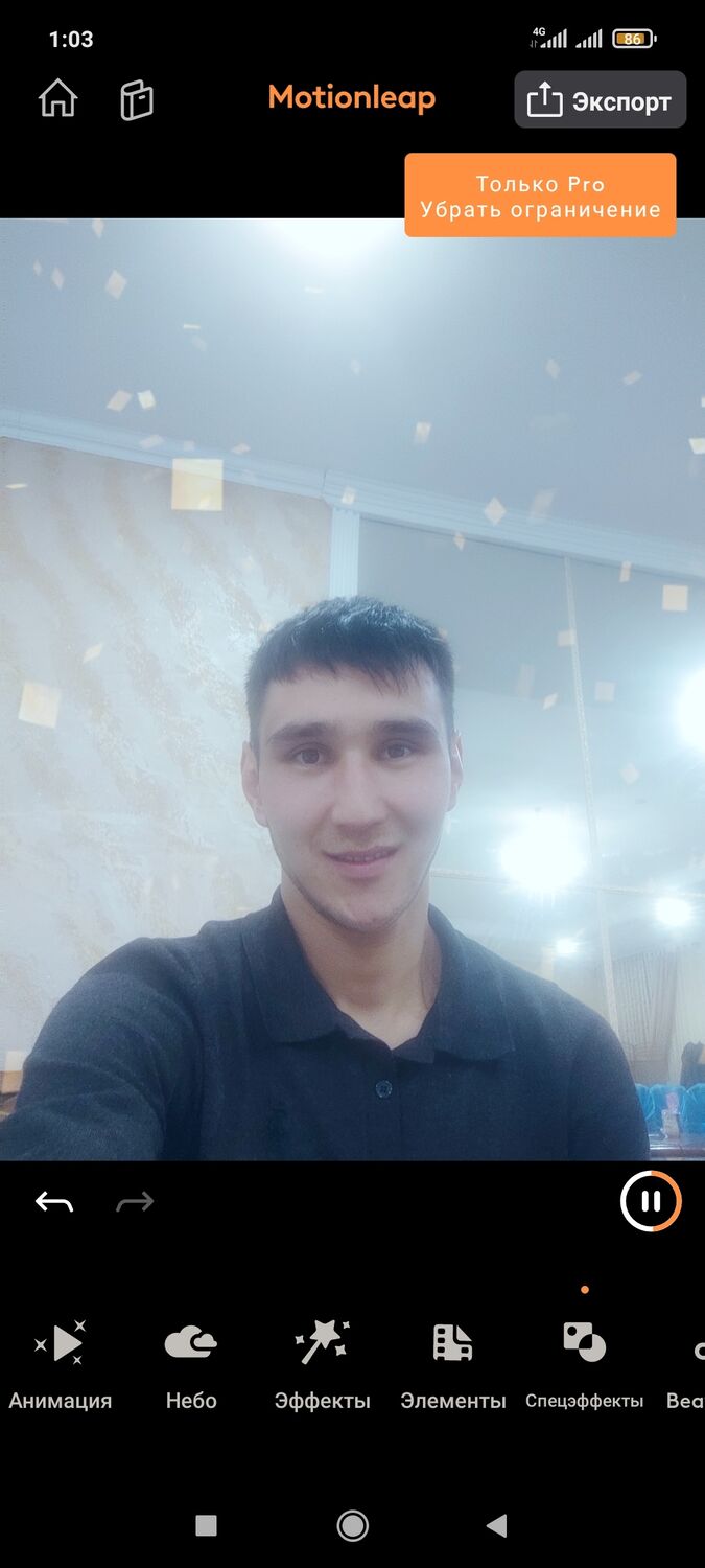 ���� 29775509 ������� ������, 34 ����, ���� ���������� � �������