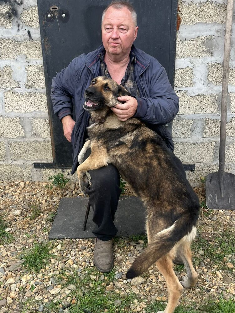 ���������� ����-�������, ���� ������� ������, 60 ���, ������������ ��� c�������� ���������