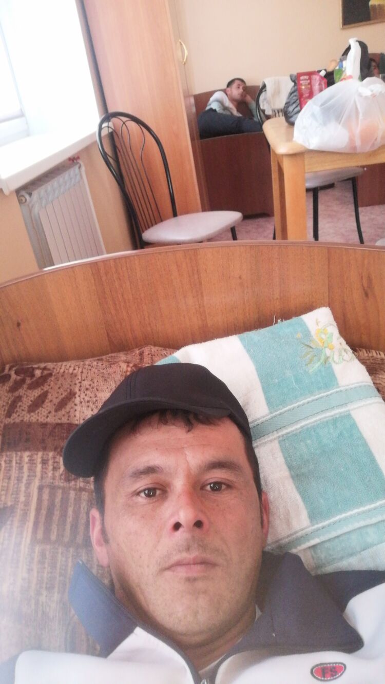  33851549  , 33 ,    