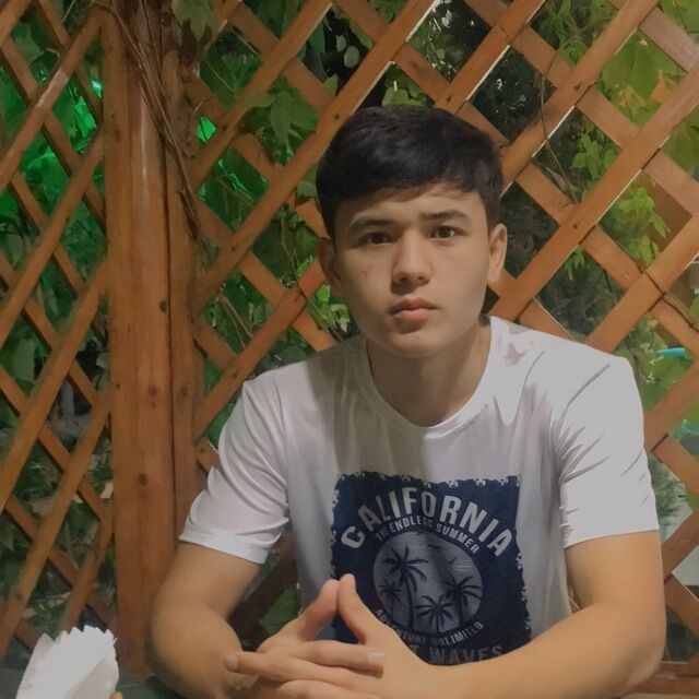  31503409  , 24 ,    --