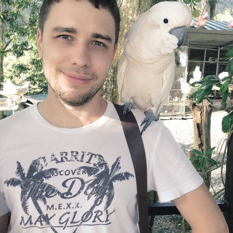 ���� 16852129 ������� ������, 38 ���, ���� ���������� � ������������