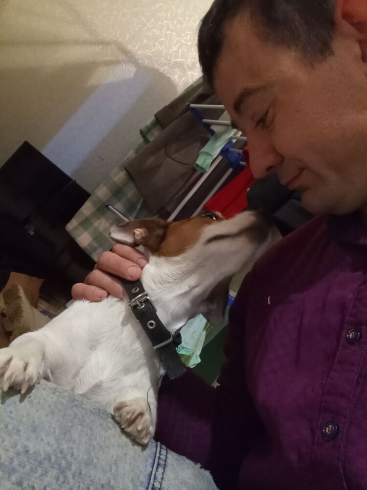 ���������� ������������, ���� ������� ���, 34 ����, ������������ 