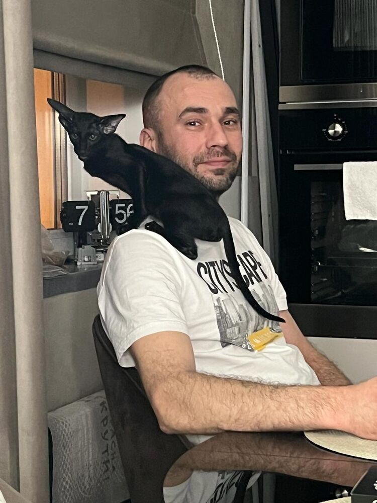 ���� 43286649 ������� �����, 43 ����, ���� ���������� � �������������