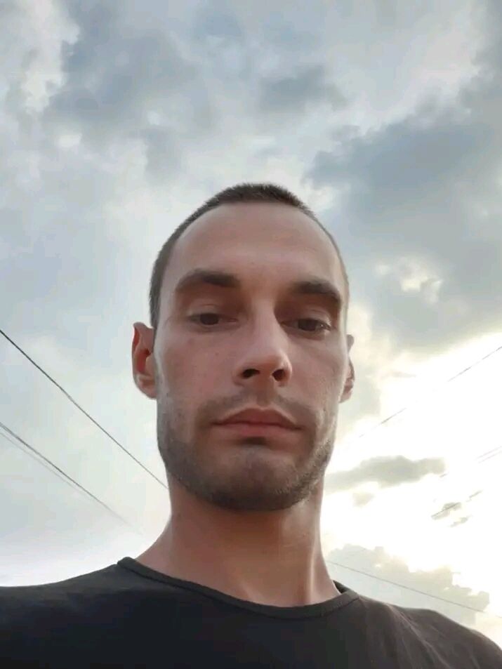  31250659  , 31 ,    