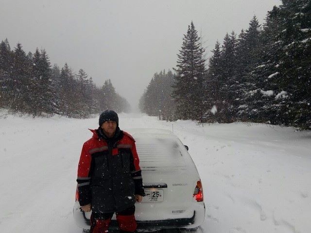 ���� 18583649 ������� �����, 72 ����, ���� ���������� � ������