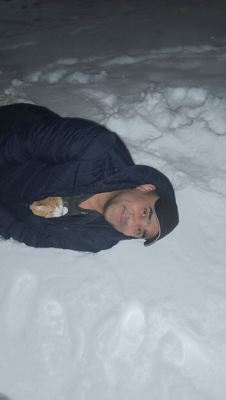 ���� 31882649 ������� �����, 44 ����, ���� ���������� � ��������