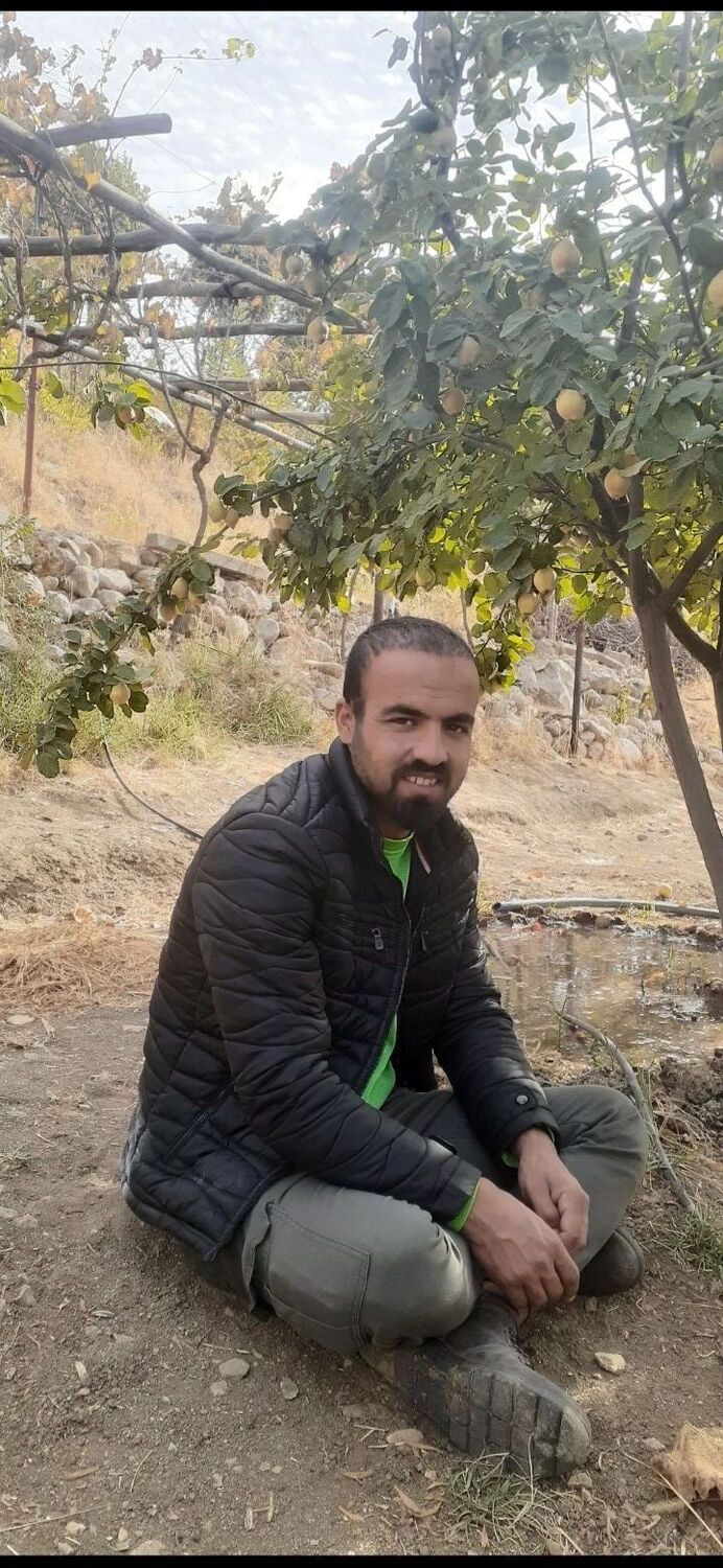 ���� 24304279 ������� Serdar, 31 ���, ���� ���������� � Kemerburgaz