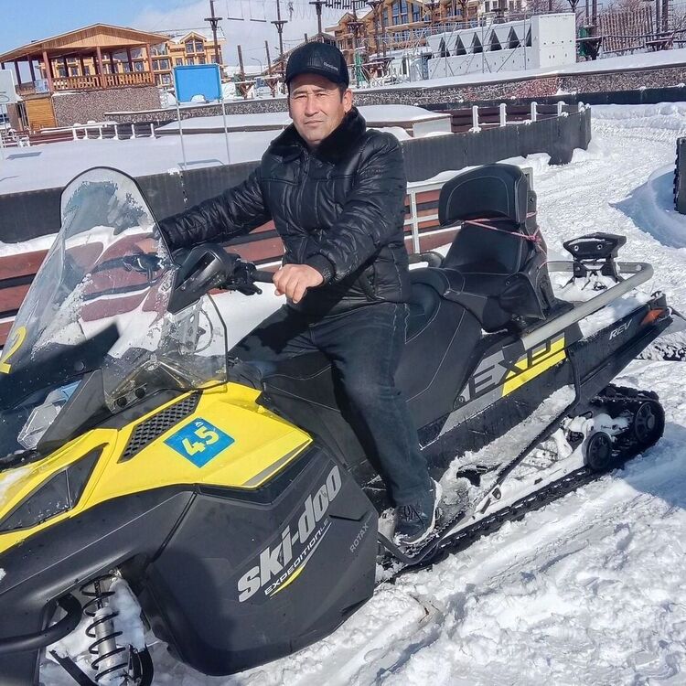 ���� 50380639 ������� ELYOR, 40 ���, ���� ���������� � ����������