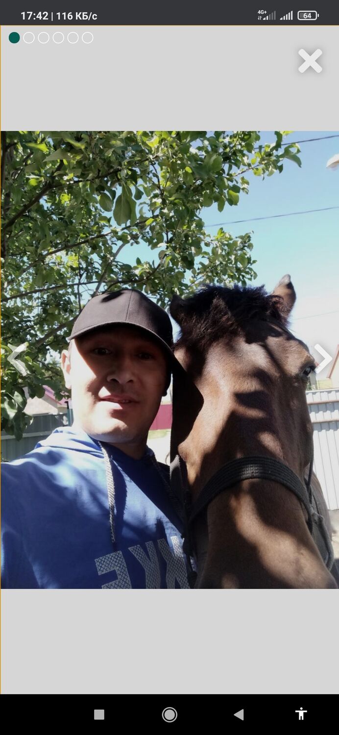 ���� 26626429 ������� �����, 41 ���, ���� ���������� � ���