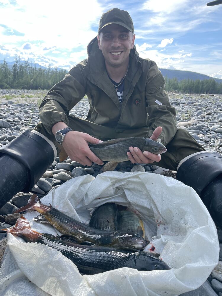 ���������� �������, ���� ������� ���������, 36 ���, ������������ ��� ������, ����� � ���������, c�������� ���������, ���������