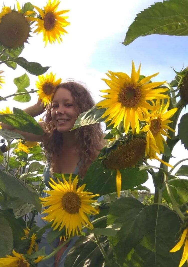 ���� 50795889 ������� ����, 34 ����, ���� ���������� � ������