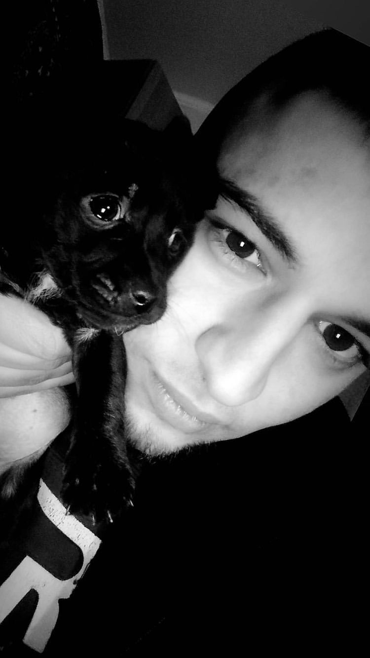 ���� 40386439 ������� Sarvan, 30 ���, ���� ���������� � �����