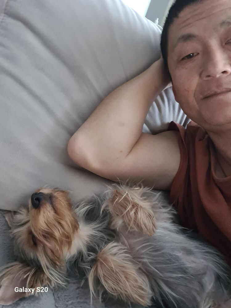 ���� 53472209 ������� �������, 51 ���, ���� ���������� � ����������