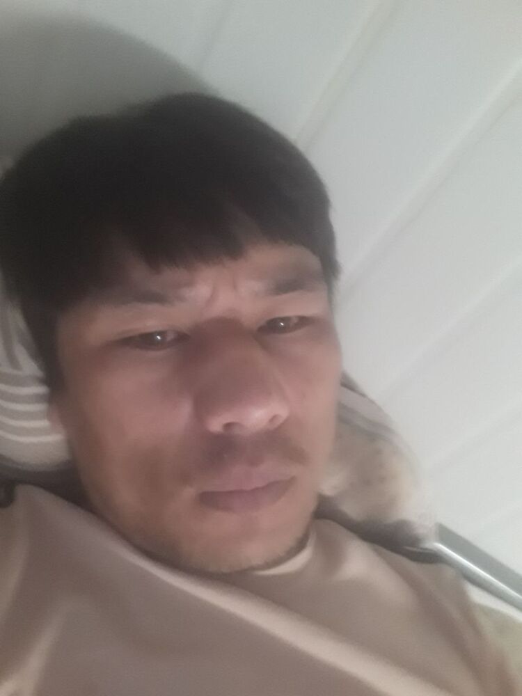 ���� 37152499 ������� �����, 33 ����, ���� ���������� � ���������� ������