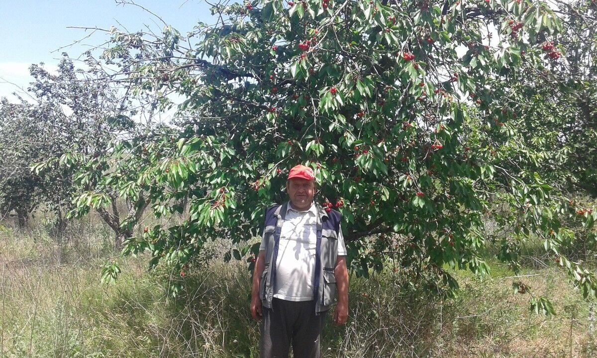  ,   , 55 ,     , c 