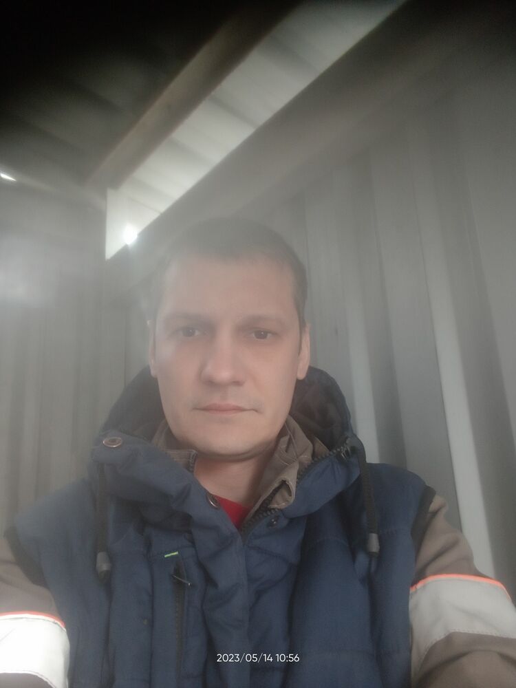  34910349  Kotik, 40 ,    
