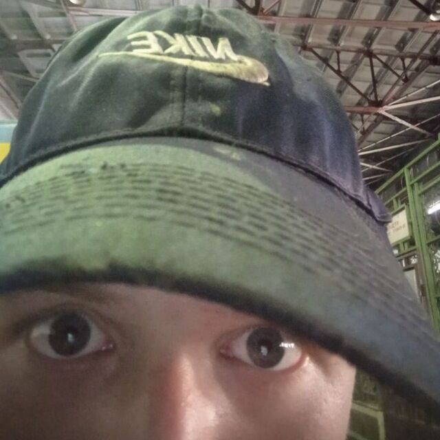  38264669  , 20 ,    