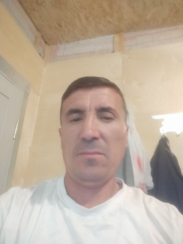  43936629  , 46 ,    