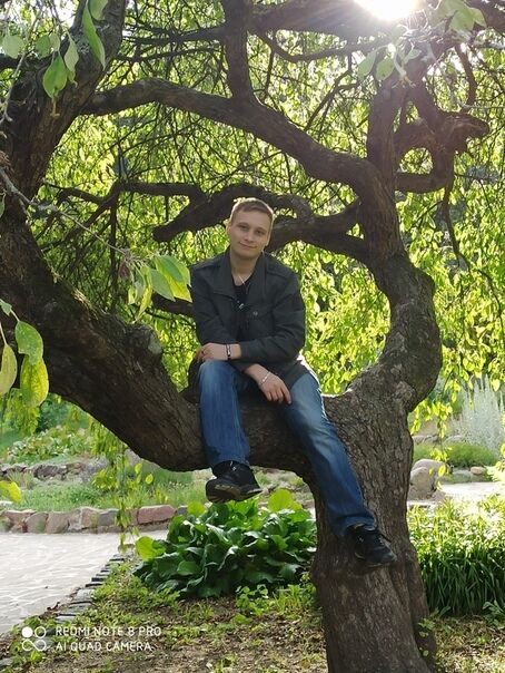 ���� 46115479 ������� �������, 33 ����, ���� ���������� � ������