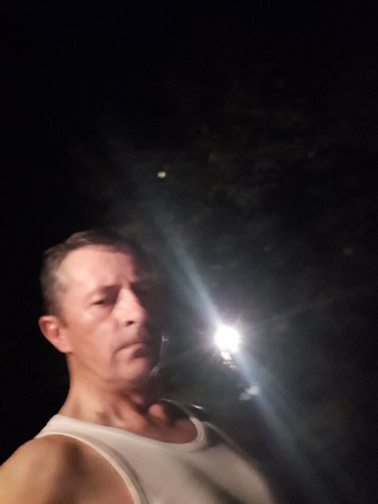  53421859  , 50 ,    -