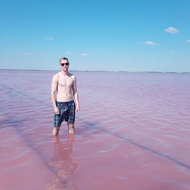 ���� 31308749 ������� ���������, 26 ���, ���� ���������� � �������������