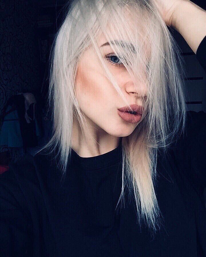 26159219  , 24 ,    