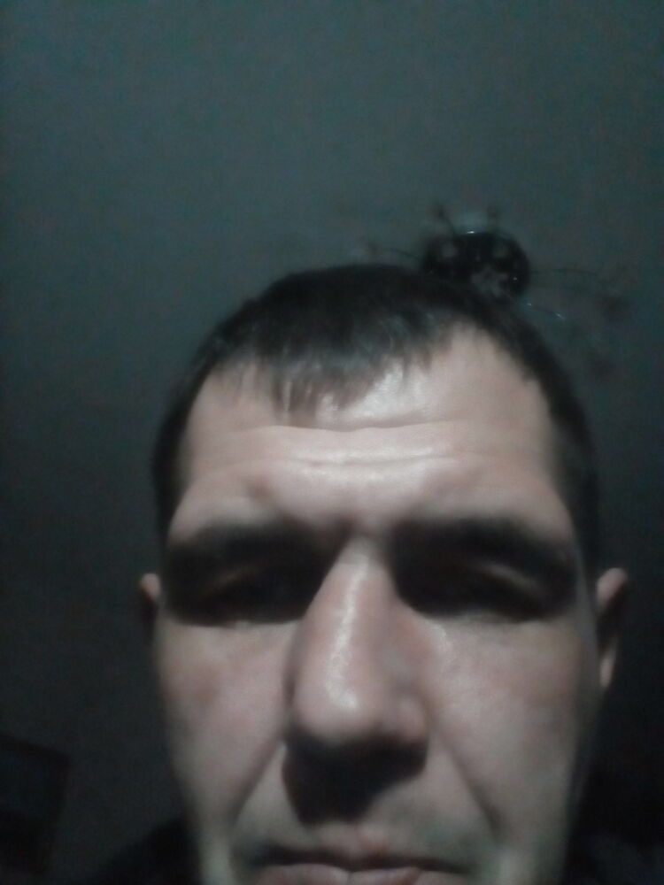  15256319  , 44 ,    