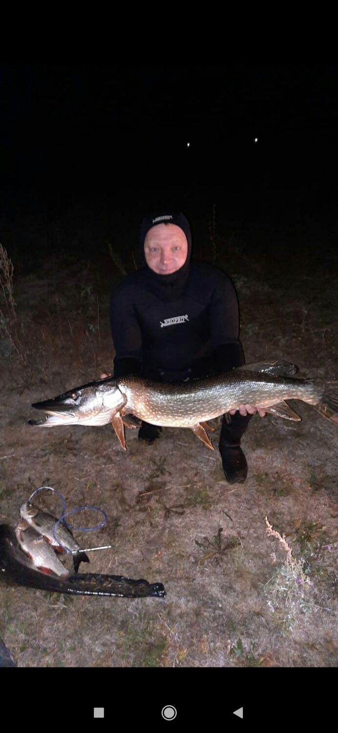 ���� 31656209 ������� Alex, 46 ���, ���� ���������� � ������