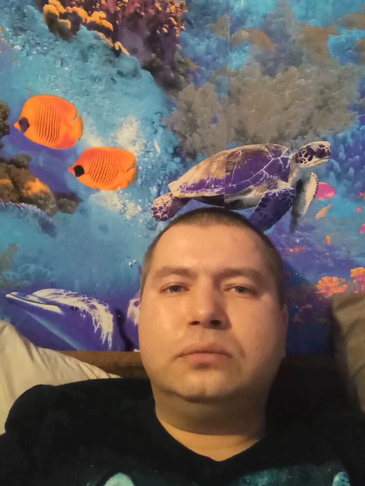  34016529  , 39 ,    