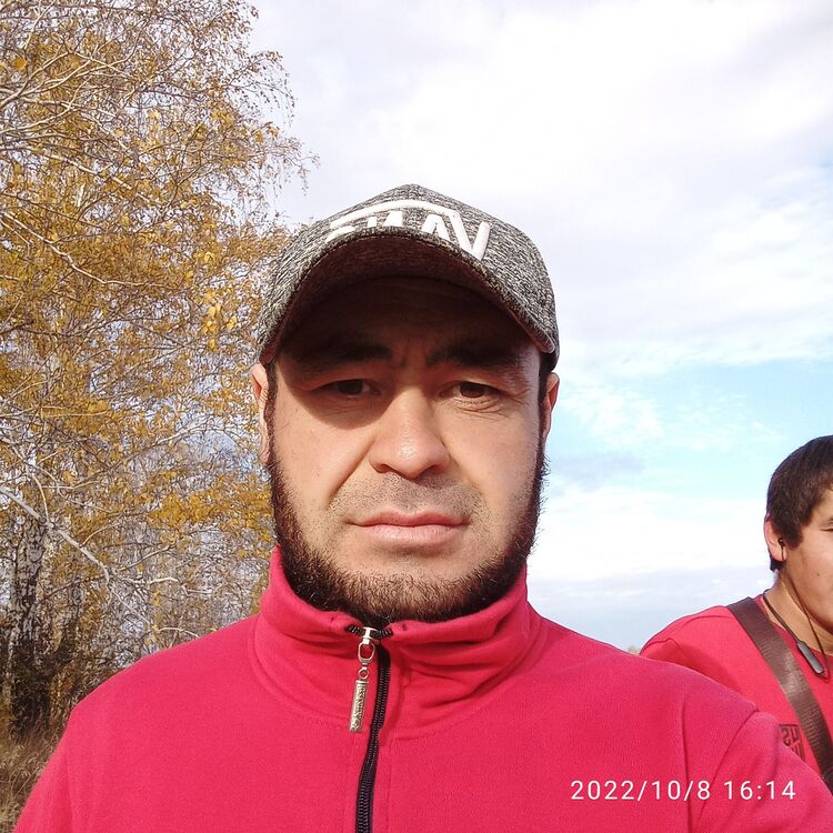  33172839  , 37 ,    -