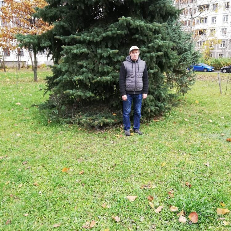 ���������� �����, ���� ������� �����, 40 ���, ������������ ��� ������, ����� � ���������