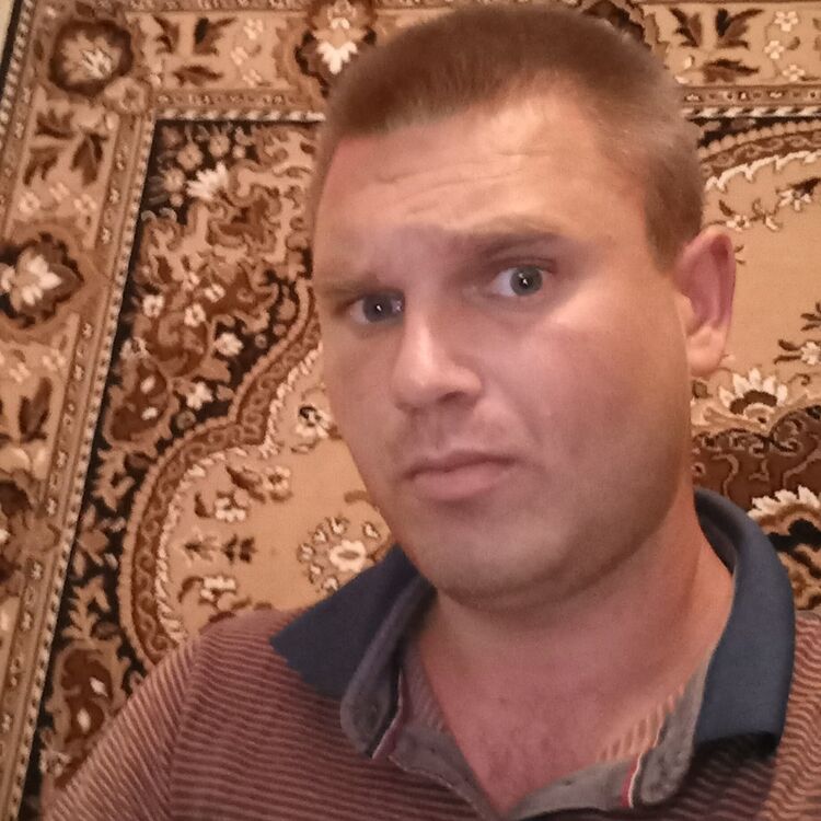  41930599  , 33 ,    