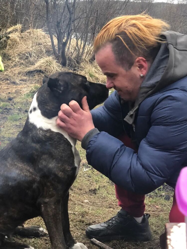 ���� 32259099 ������� ���������, 35 ���, ���� ���������� � ���������