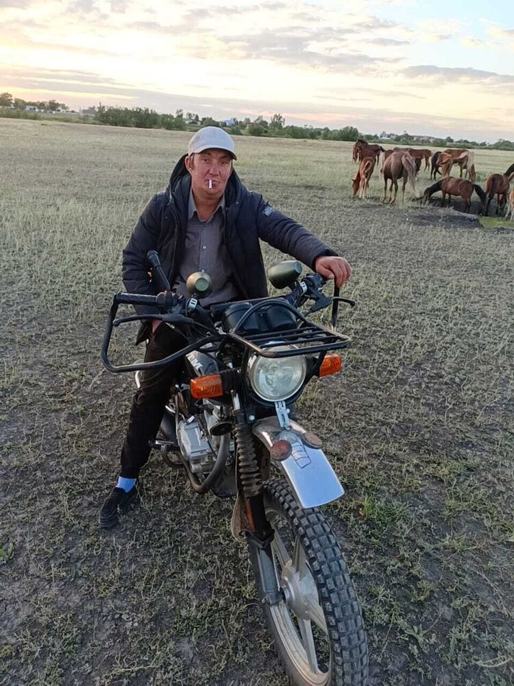 ���������� ���������, ���� ������� �������, 38 ���, ������������ ��� ������, ����� � ���������, c�������� ���������