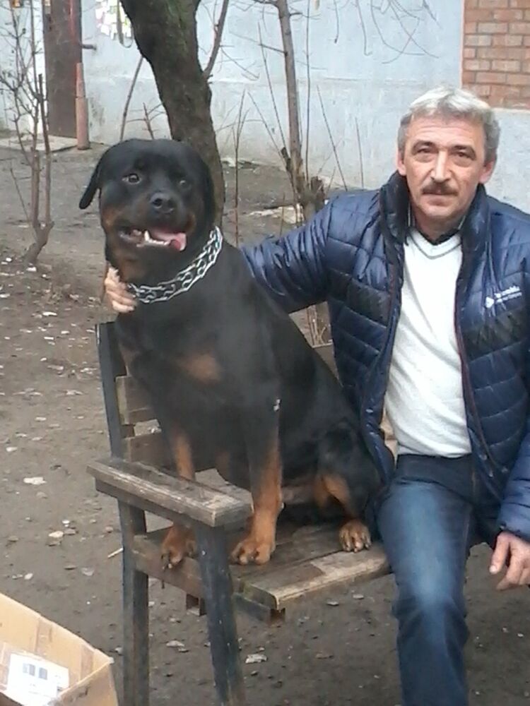  19583689  Oleg, 61 ,    