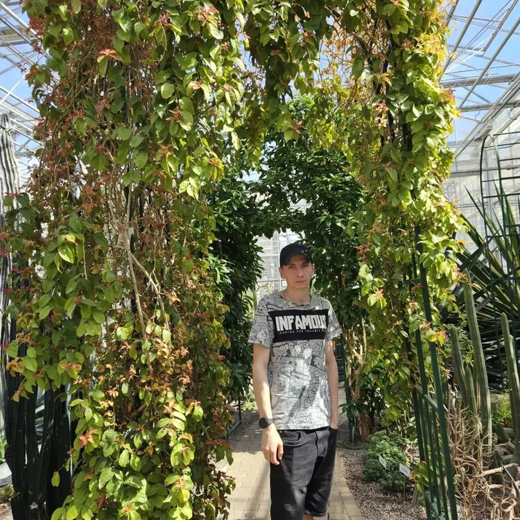  34490029  Arturs21, 34 ,    